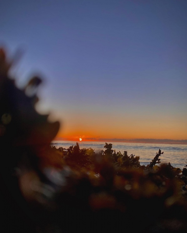 87A059C2-A298-4E08-A354-74813CE56405.thumb.jpeg.096b0ac2744e88651c90b56474a41d5c.jpeg