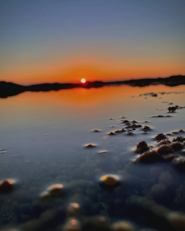 C9BC3D8F-328E-4772-879B-B95621E446BB.thumb.jpeg.32d9d89ba4e11ea7ec99b15b0b00a7a1.jpeg